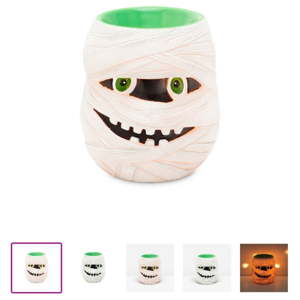 Scentsy Warmer For Trade